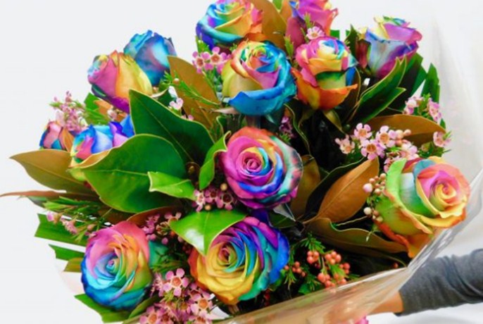 Apakah Bunga  Mawar  Pelangi dan Apa Artinya TWS Florist